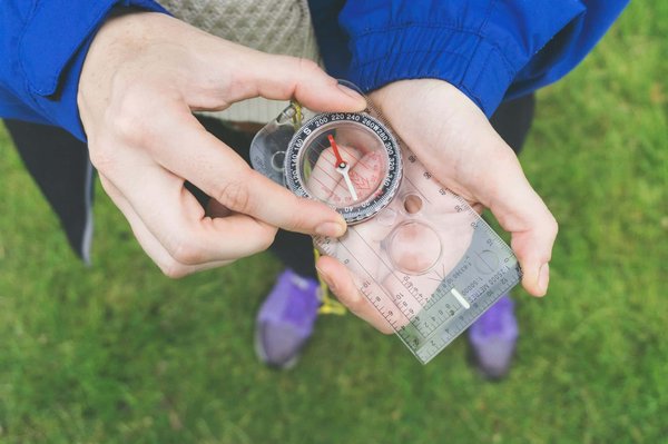 Comment organiser une visite des parcs nationaux pour observer les dragons de Komodo en Indonésie ?